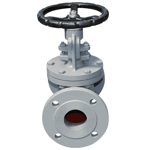 Flange Type Globe Valve3